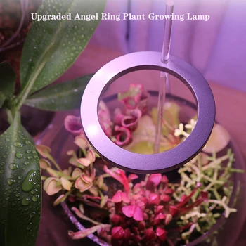 5 В USB Лампа для выращивания растений Полный спектр 20 светодиодов Освещение для выращивания растений для комнатной фитолампы Цветочные Мясистые заполняющие огни
